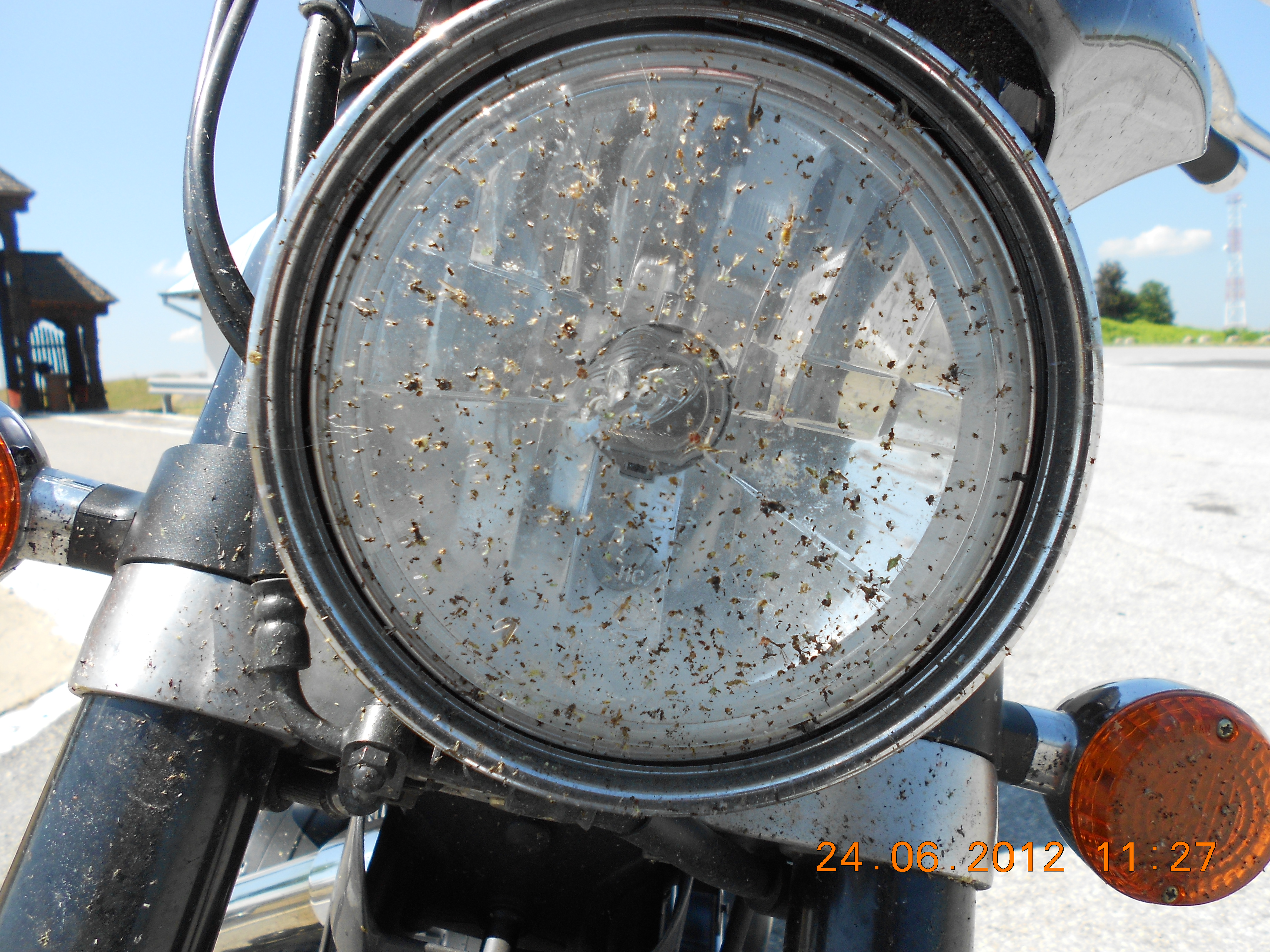 Insects on the front headlamp
