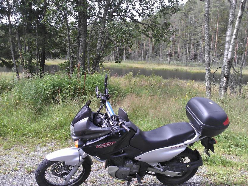 Suzuki XF650 Freewind