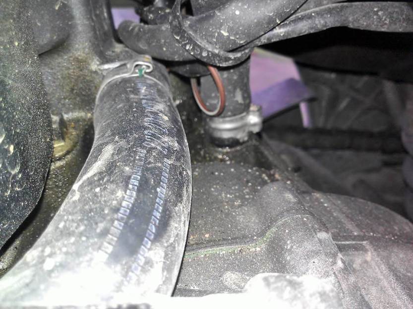 Finnskogen 23_26 Mai 2013 (6)