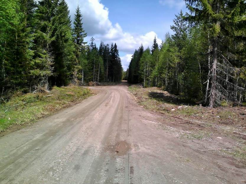 Finnskogen 23_26 Mai 2013 (9)