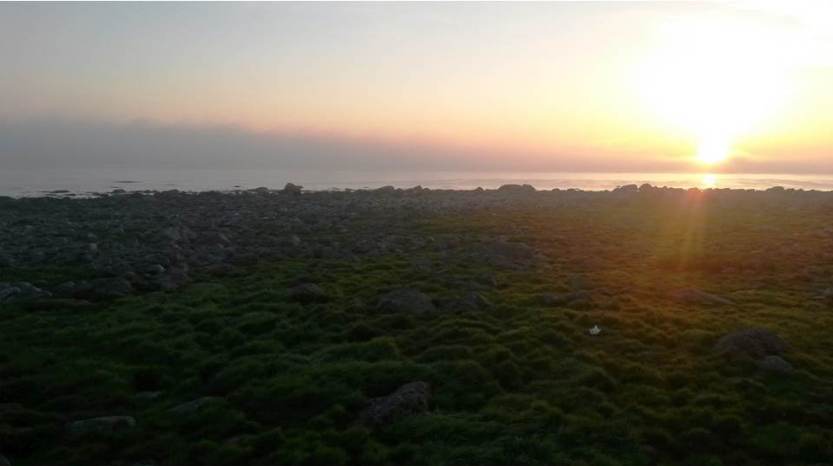 BMW F800GS på Jæren langs Nordsjøvegen