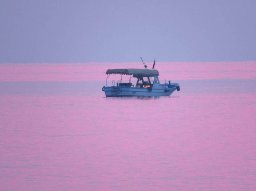 Canon PowerShot SX50-HS