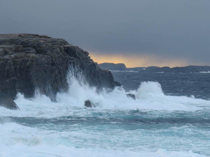 Canon PowerShot  SX50-HS 