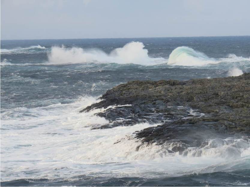 Canon PowerShot  SX50-HS 