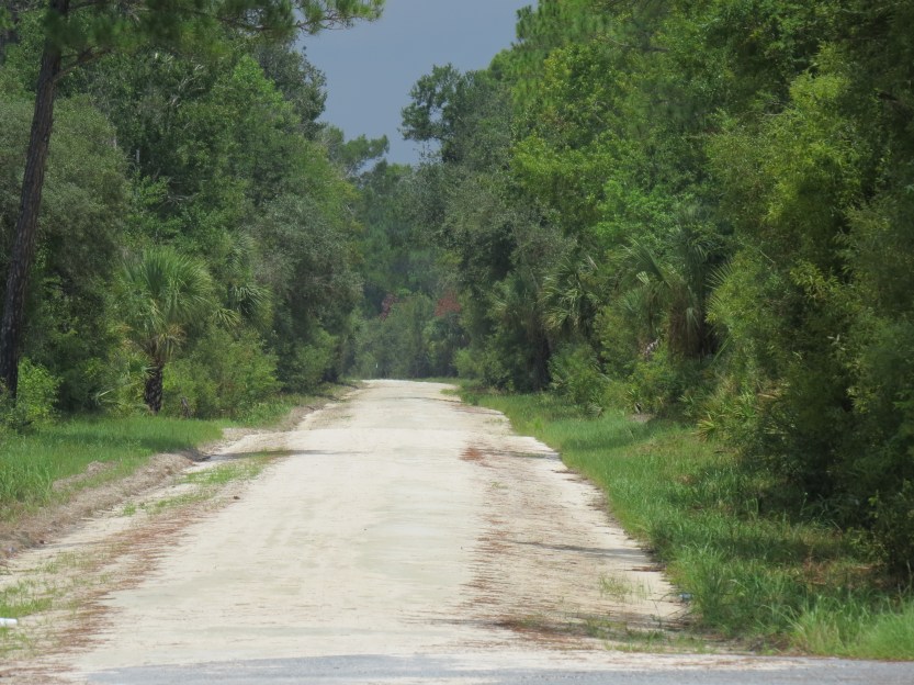 Lower Suwannee National Wildlife Refuge