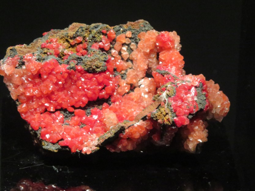 The Arizona-Sonora Desert Museum