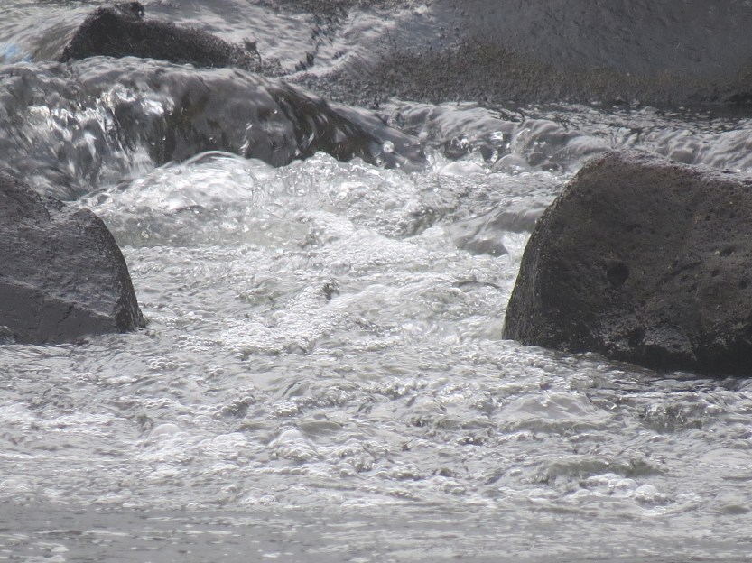 Salto de Eyipantla, Veracruz Mexico