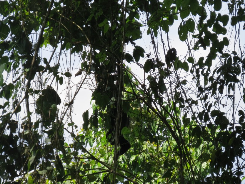 Zona Arqueológica de Palenque