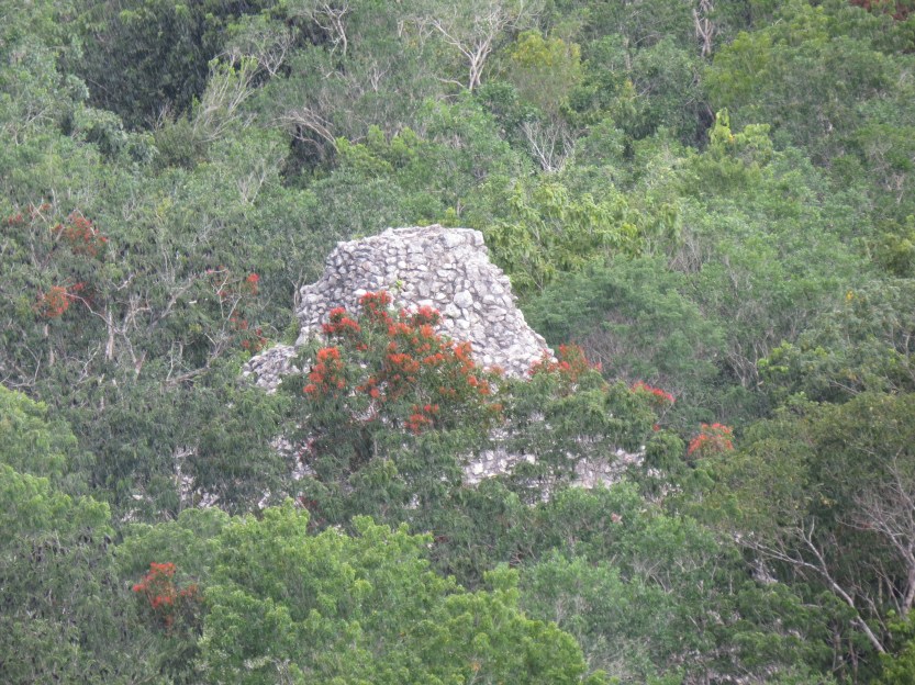 Nohoch Mul Pyramid Coba, Mexico