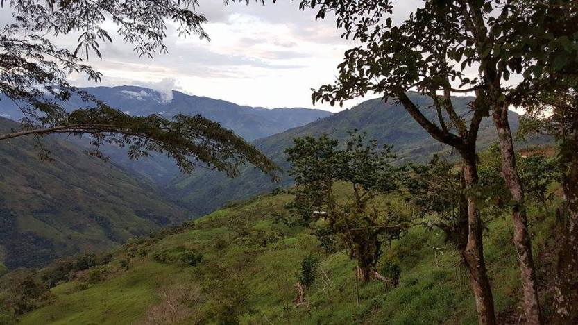 Fra Sincelejo til Valdivia