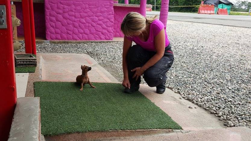 Fra Sincelejo til Valdivia