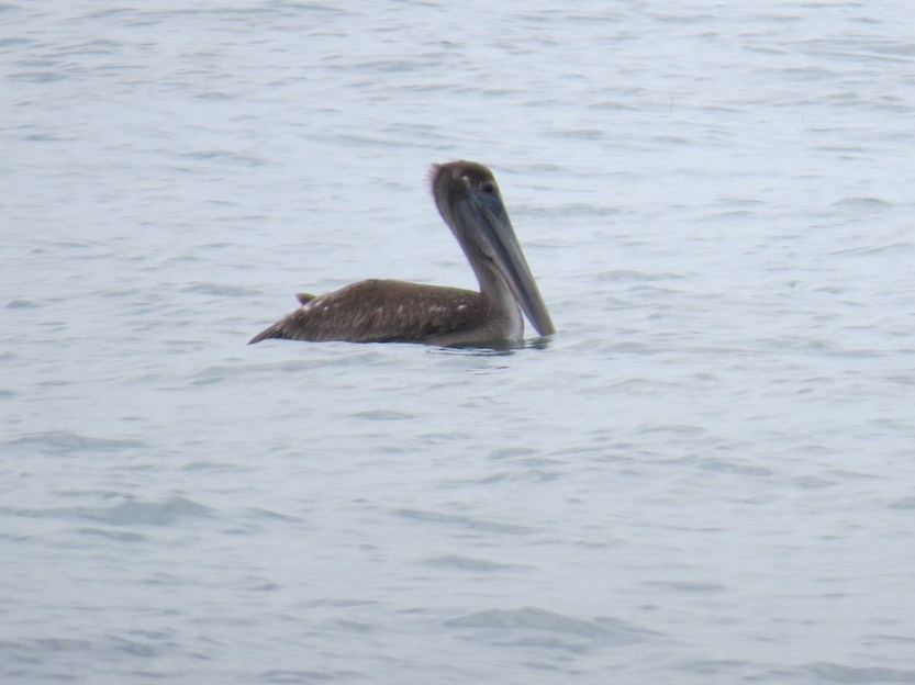 Pomenir, Kuna Islands, San Blas