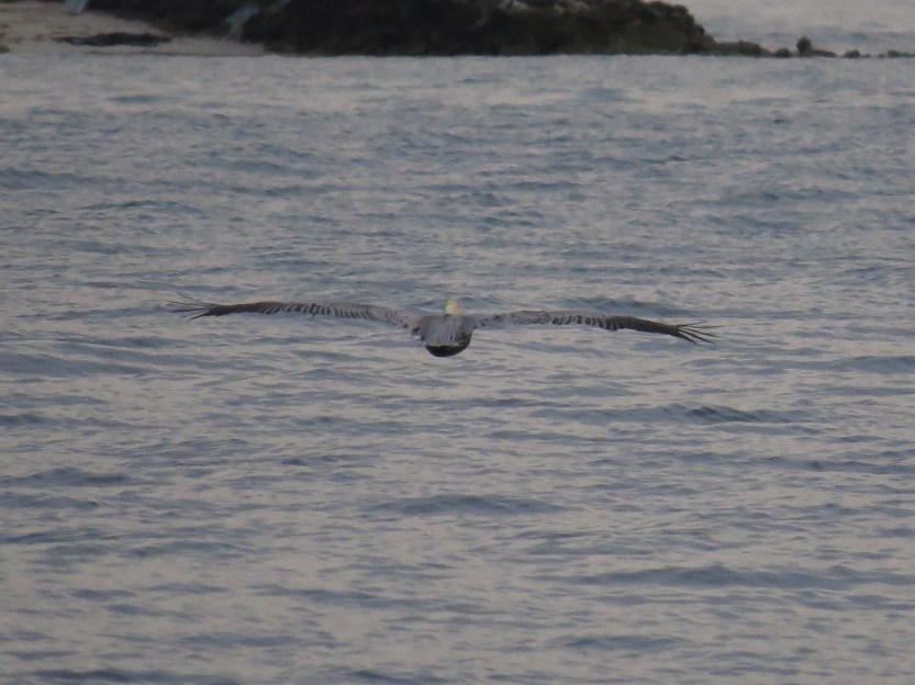 Pomenir, Kuna Islands, San Blas