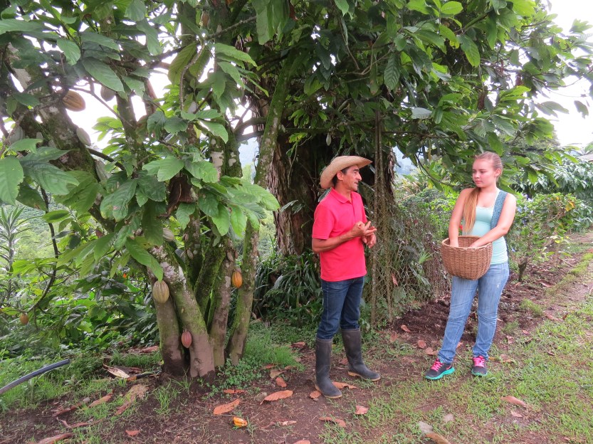 Hacienda Guayabal, Colombia