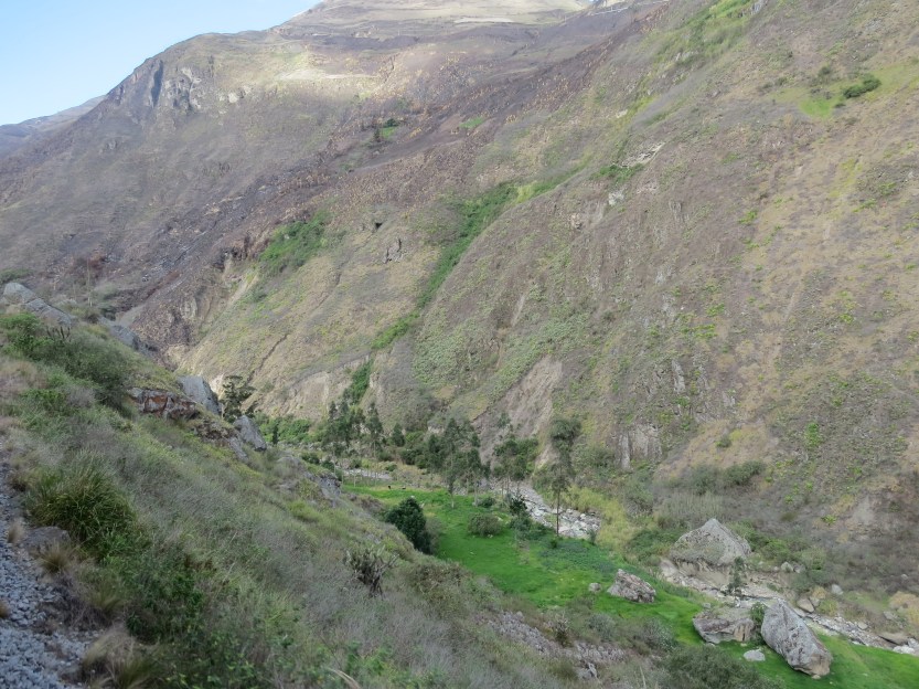 Alausi – The Devil’s Nose