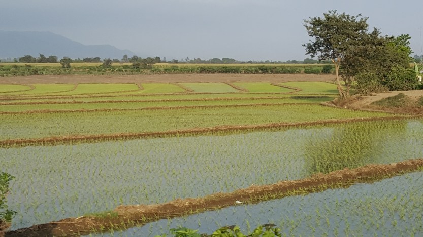 Mancora – Pacasmayo, Peru