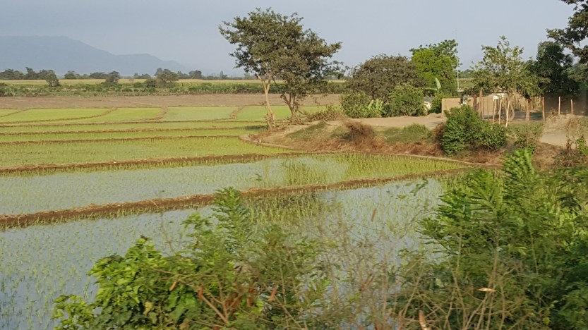 Mancora – Pacasmayo, Peru