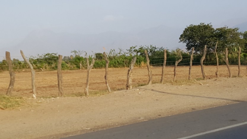 Mancora – Pacasmayo, Peru