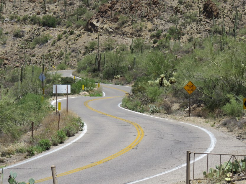Pan American Highway