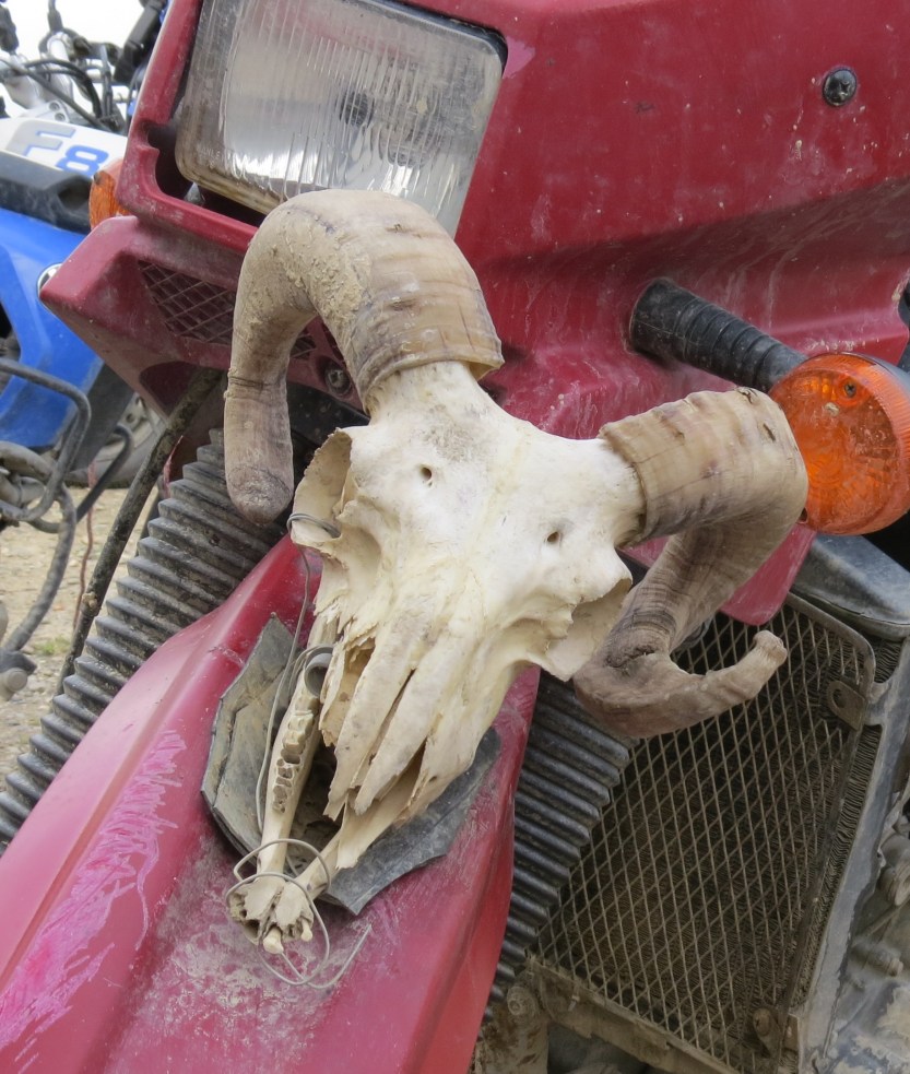 Kawasaki KLR 650 2005