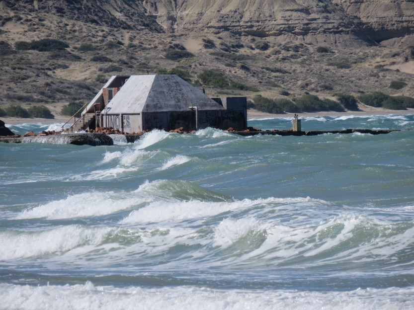 Puerto Piramides, Argentina