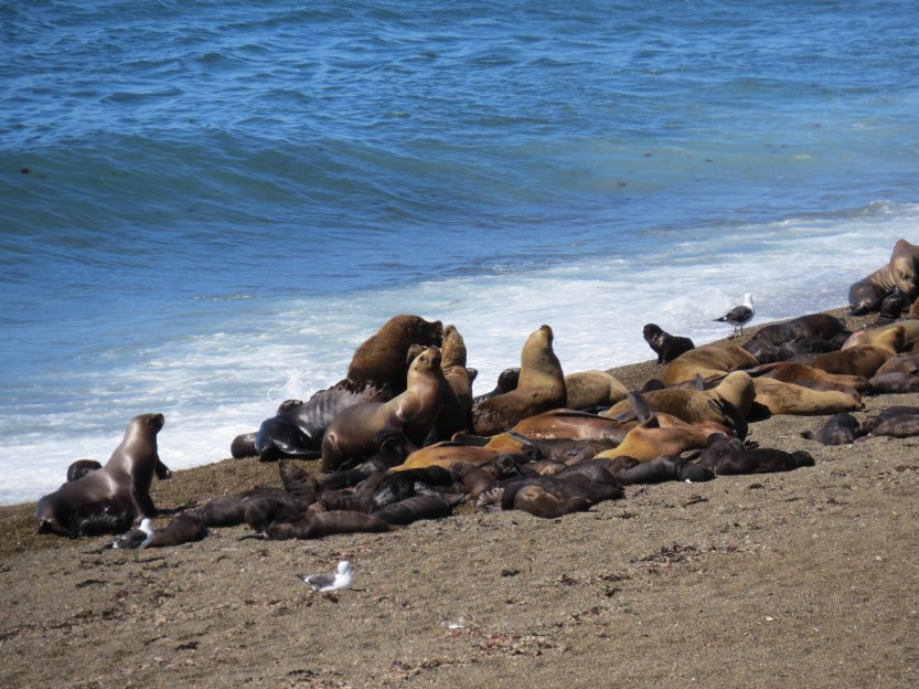 Comodoro Rivadavia, Argentina