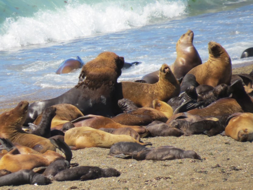 Comodoro Rivadavia, Argentina