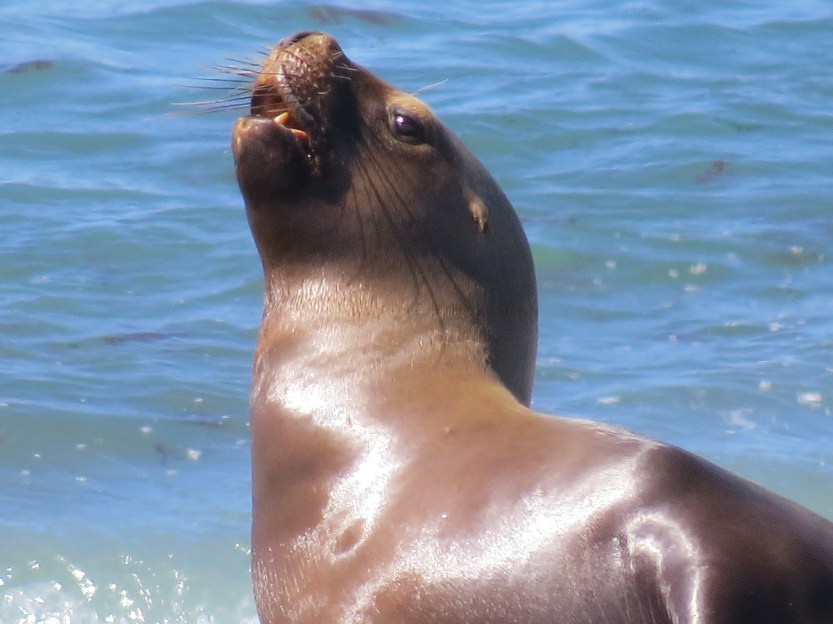 Comodoro Rivadavia, Argentina
