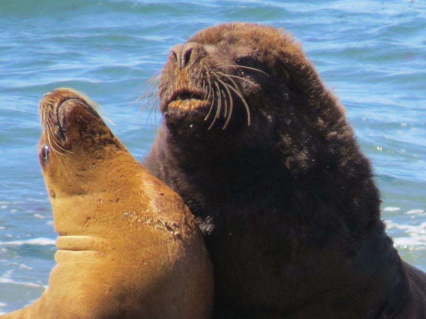 Comodoro Rivadavia, Argentina