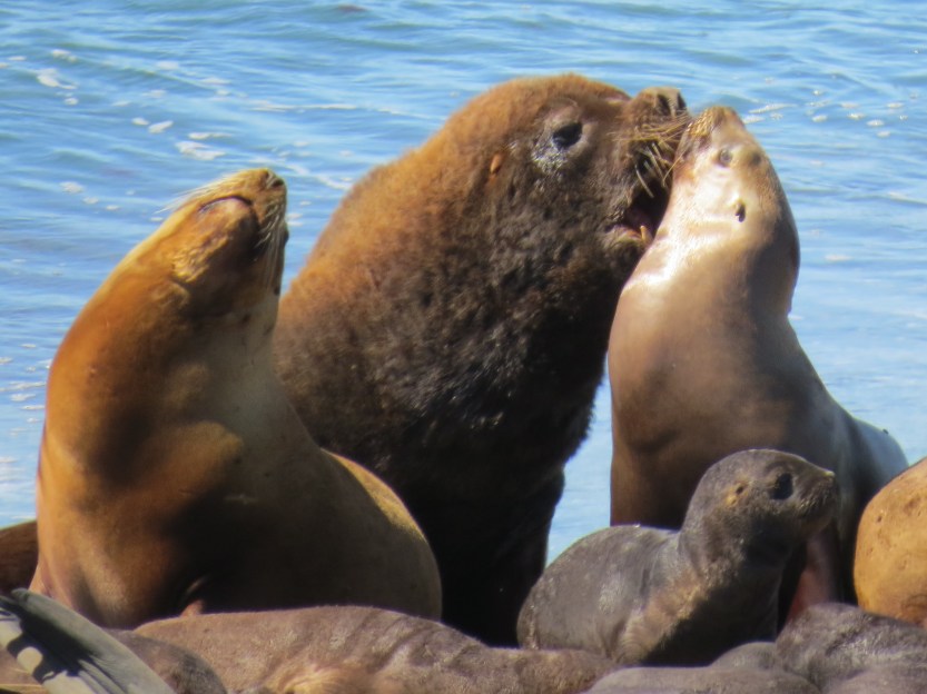 Comodoro Rivadavia, Argentina