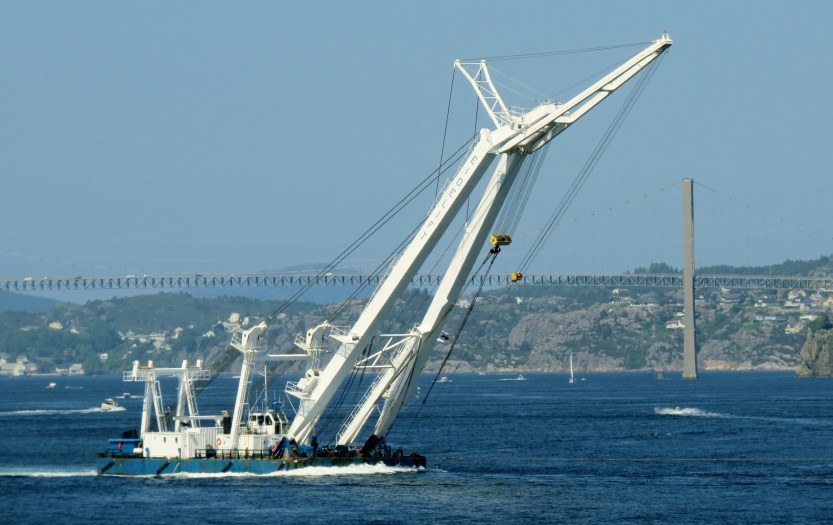 Utsikt fra terrassen i dag
