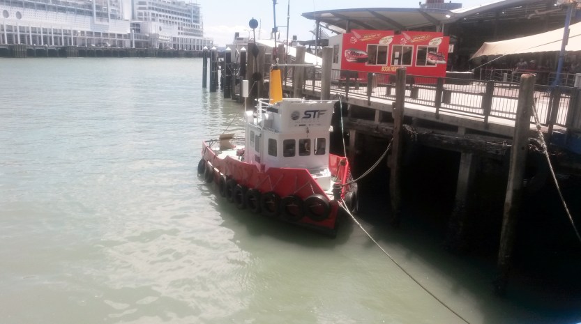 Tamaki Herenga Waka Festival
