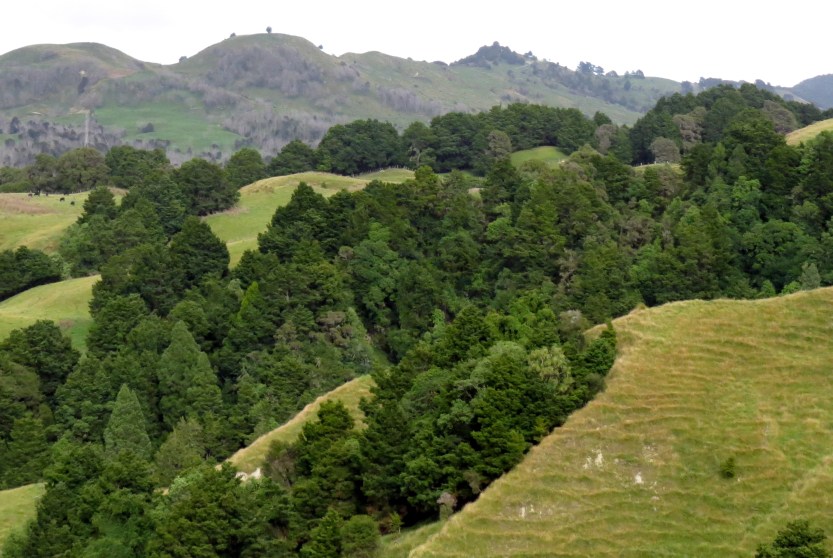 Fra Gisborne til Napier