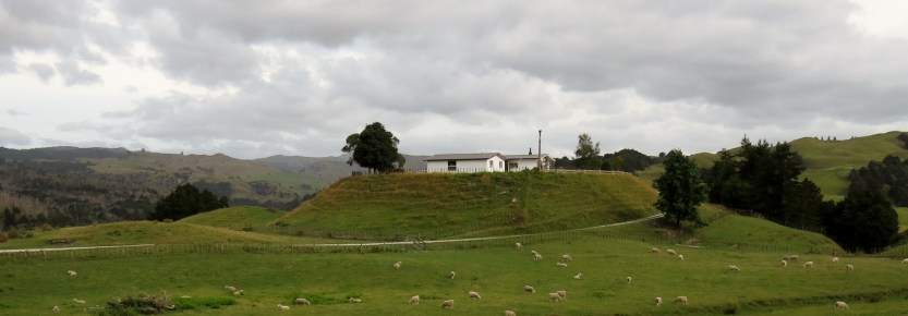 Fra Gisborne til Napier