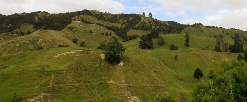 Fra Gisborne til Napier