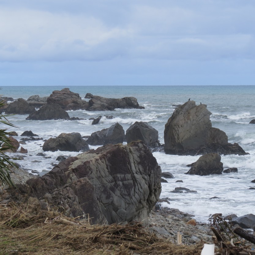 Fra Murchison til Fox Glacier