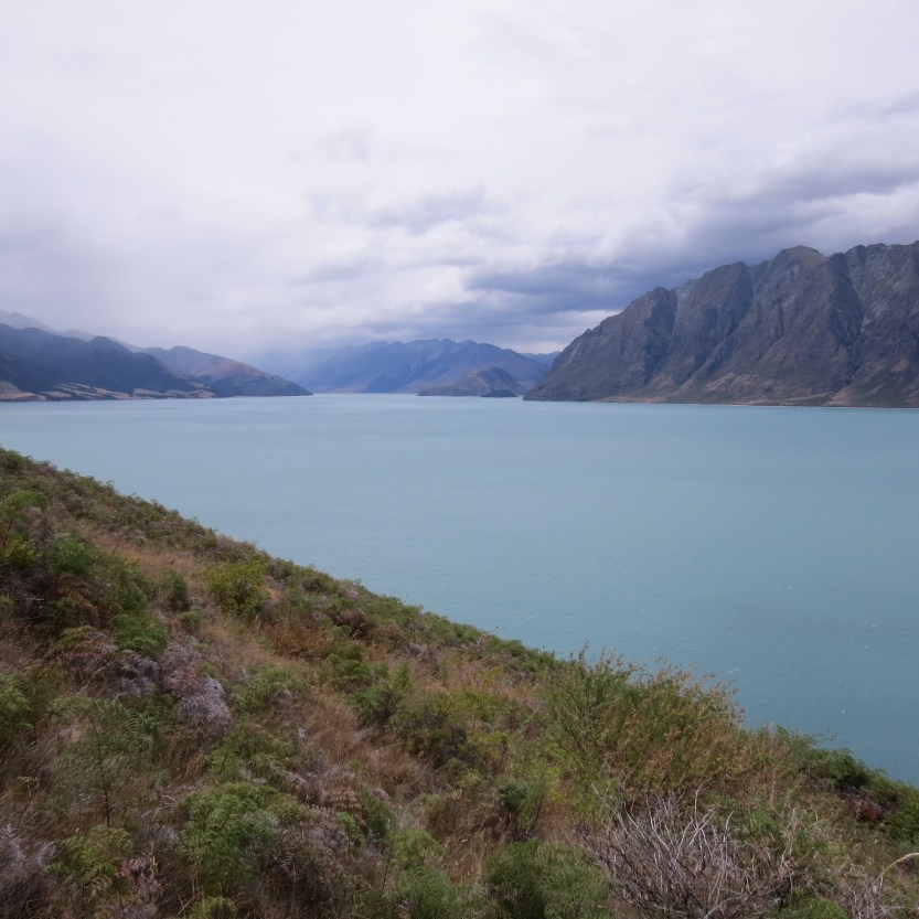 Fra Fox Glacier til Queenstown