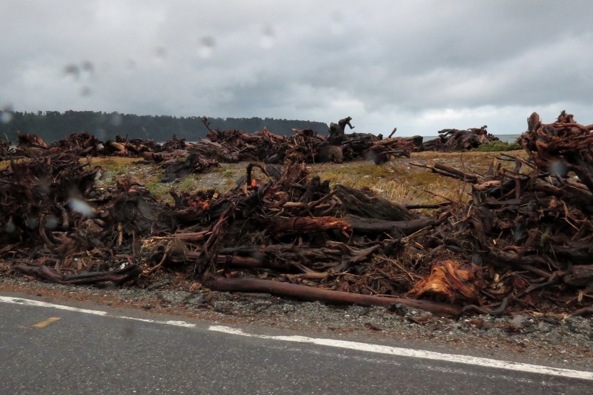 Fra Fox Glacier til Queenstown