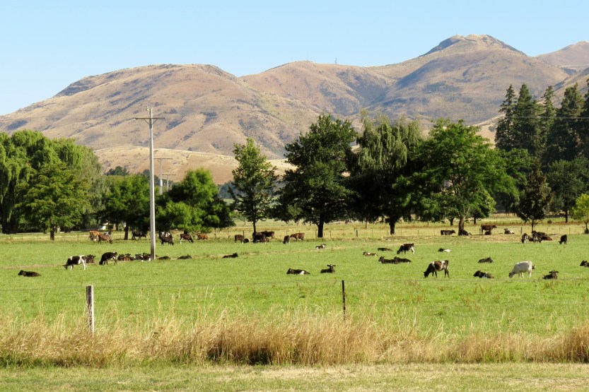 Fra Queenstown til Oamaru