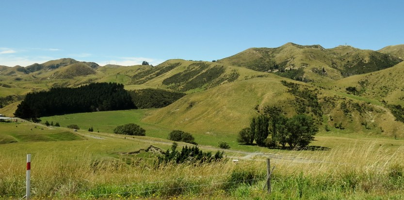 State Highway 1 eller SH1, New Zealand