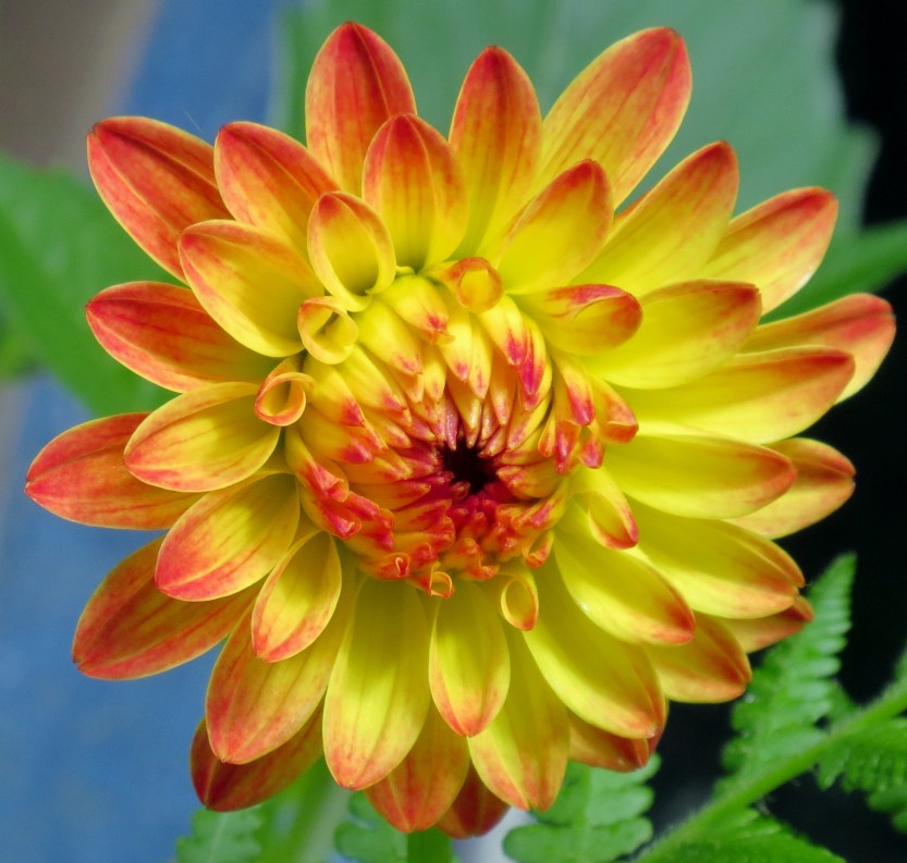 Hobbiton, New Zealand