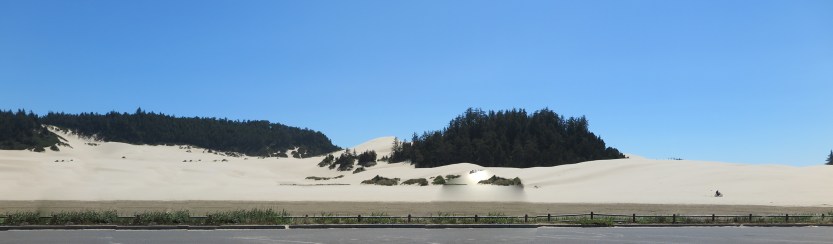 Oregon Dunes